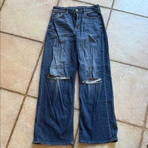 American Eagle Outfitters Distressed Wide-Leg Jeans